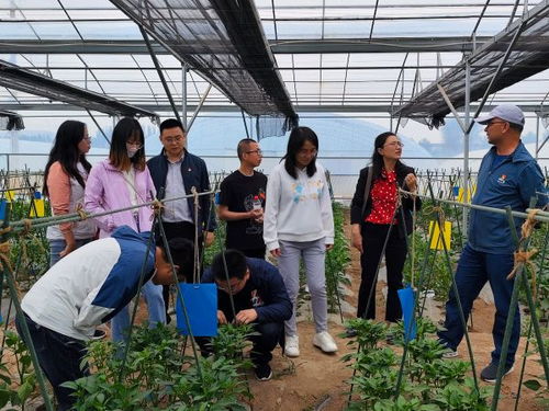 牢记使命担当 勇攀科技高峰 西北高原所农业中心党支部与青海大学农林科学院园艺所党支部联学联建主题党日活动纪实