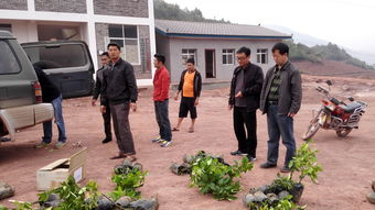 云南省农业科学院官方网站 引领农业与园艺服务的先锋