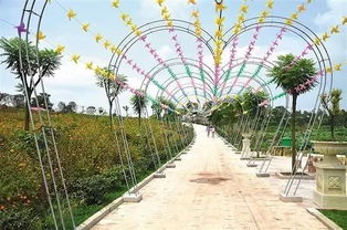 隆昌万花谷 农业园艺与休闲体验的完美融合