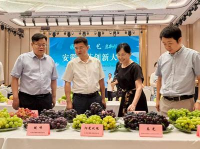 安徽园艺创新大会在合肥召开 推动农业园艺服务高质量发展