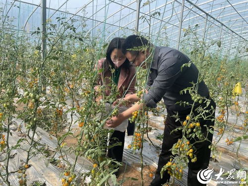 鱼台县检验检测中心赴东营开展省农产品质量安全监督抽查工作纪实