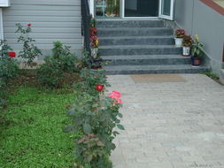 探秘农科院种子购买指南 聚焦园艺与农业服务