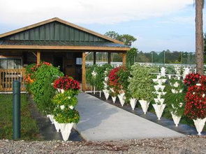 堆垛园艺 垂直农业发展中易于推广的技术新星