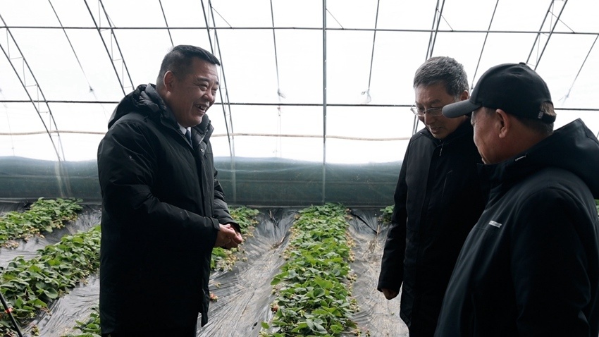 冬闲变农忙，服务暖棚间 公主岭农技人员为现代农业“把脉问诊”