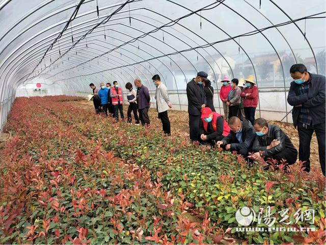 岐山县科协组织开展科技志愿服务系列活动，助力农业园艺发展