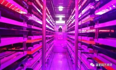 山东农业大学成功申办第八届中日韩设施园艺与植物工厂学术研讨会